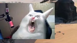 🐇 КАСТРАЦИЯ ВИШНЕВОГО КРОЛИКА
