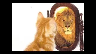 What Is Reality? The Human Brain - Fascinating Brain Documentary (Consciousness & Universe)