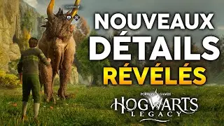 Hogwarts Legacy | + 80h de CONTENU et des OBJETS à récupérer MAINTENANT ! 🧙