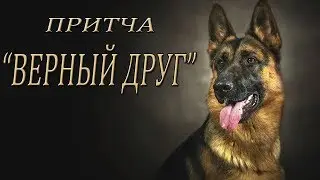 ПРИТЧА"ВЕРНЫЙ ДРУГ"/THE PARABLE OF"FAITHFUL FRIEND"
