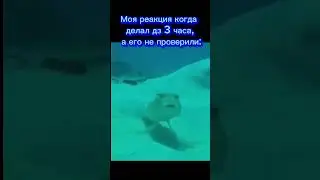 Печально #meme #memes #funny #dankmemes #memesdaily #funnymemes #lol #shorts