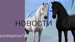 новости в equestrian the game/разведение 😱???