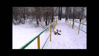 Медвежьегорск. История парка железнодорожников