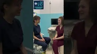 Отзыв о проведенном мастер классе по УЗИ.