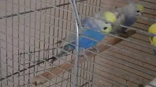 Радужные мальчики март 2019