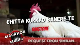 CHITTA KUKKAD BANERE TE | markhor music | Musarrat Nazir | Punjabi Wedding Song | piano & accordion
