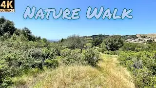 360° Cam Hike🌲🌳| El Sobrante, California [4K]🇺🇸
