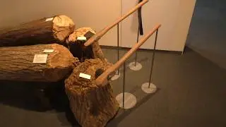 Как рубят дерево каменным топором. Музей Такенака