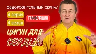💥 ЦИГУН ДЛЯ СЕРДЦА | Трансляция 4 серии. 4 сезон. 