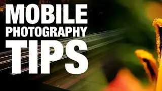 How To Click Professional Photos With Your Android Mobile /PCP/ Mobile Photography 🔥