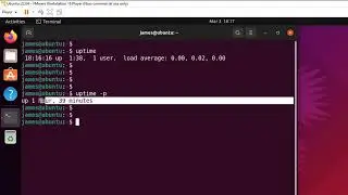 How to check uptime  on Linux