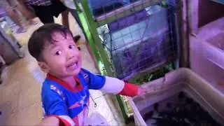 DRAMA Fathan Raffa Belanja Di Pasar Ikan Seru Banget #ikan #ikanhias #fish #kidsvideo #kids #anak