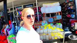 BAHAR AYINDA BİR BAŞKA GÜZELSİN ALTINOLUK