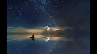 Twinke Twinkle litter star: 4K Video