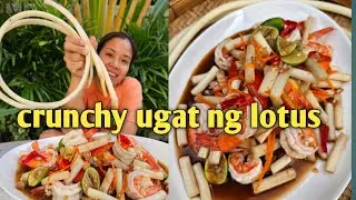 Hilaw na ugat o stem ng lotus