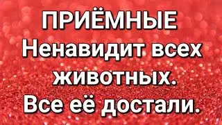 Дневник приёмной мамы/Обзор.