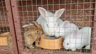 Длинное видео по вашим просьбам.