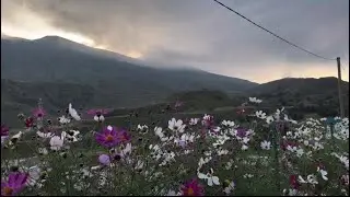 Мой Дагестан -моя свобода