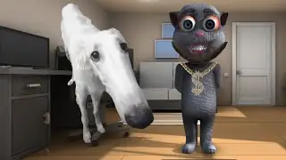 Let Me Do It For You in Talking Juan