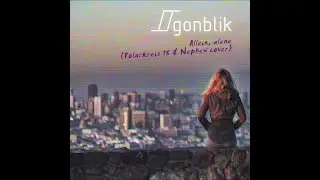 Øgonblik - Allein, alene (Polarkreis 18 & Nephew cover)