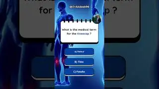 What is the medical term for the Kneecap ?