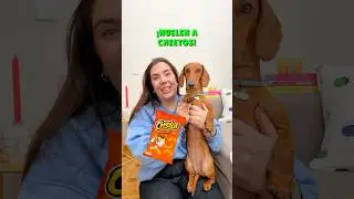 SURPRISED by my SMELL!🧀🤣