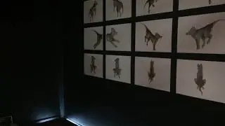 2019 Art Exhibition Video - Extinction