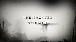 The Haunted Avocado