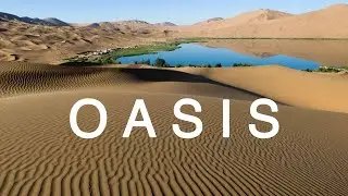 OASIS | Lo-Fi Hip Hip Mix | 1 Hour Non Stop