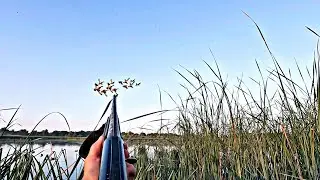 DUCK HUNTING 2025!!! FILLED A BAG WITH DUCKS IN AN HOUR!!!