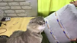 Посылка в Калининград с Урала.