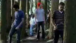 Kicking Trees