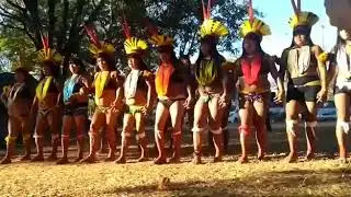 Indígenas de MT fazem ritual antes de protesto contra governo Bolsonaro