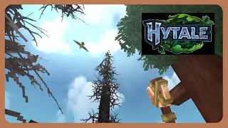 Hytale:  I built a Well!  