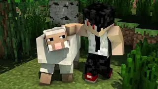 Si miro una oveja se acaba el vídeo