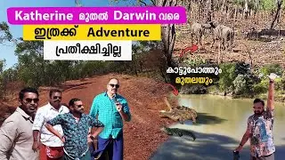കാട്ടുപോത്തിന്  മുന്നിൽ പെട്ടു | katherine to darwin Road trip