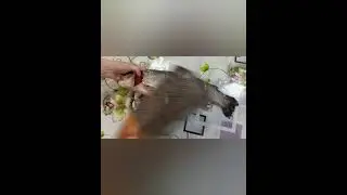 как быстро почистить рыбу без скребка