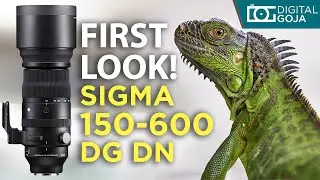 Sigma 150-600mm First Look | 150-600mm f/5-6.3 DG DN for Sony e