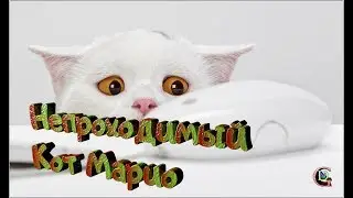 Супер кот марио 18+ (забавная сложная не проходимая игра в стиле братьев марио)