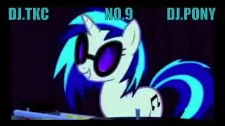 For Vinyl Scratch