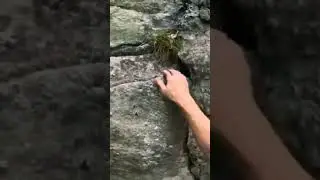 Click above "created from" to see full 2 pitch trad climb of Weeping Willies #gunks