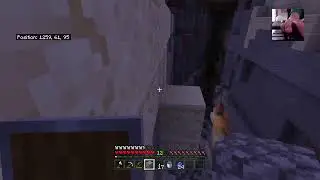 Minecraft with friend