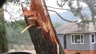 Awesome Power of Hurricane Force Wind