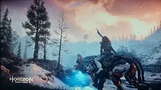 Disabling HDR has way better coloring in Horizon