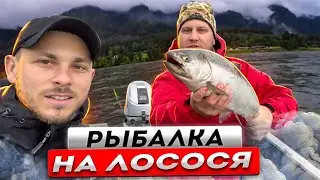 ЧАВЫЧА КОРОЛЕВСКИЙ ЛОСОСЬ (chinook salmon)