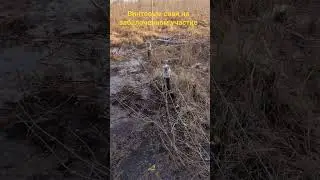 Винтовые сваи на заболоченном участке под бытовку.