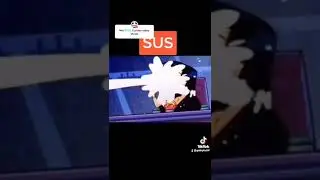 SUS