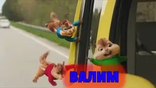 Элвин И Бурундуки Перепели Песню Валим(Нурминский)