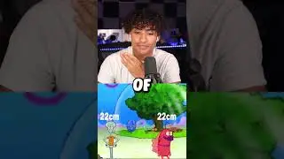 How Big SPONGEBOB Characters ACTUALLY Are 