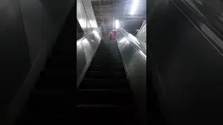 Subindo na vida